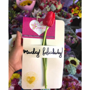 postal flores tulipan