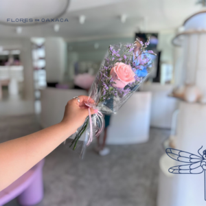 Rosa Premium