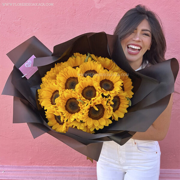 girasoles oaxaca