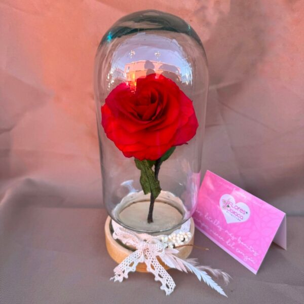 Rosa preservada en capelo - Image 4