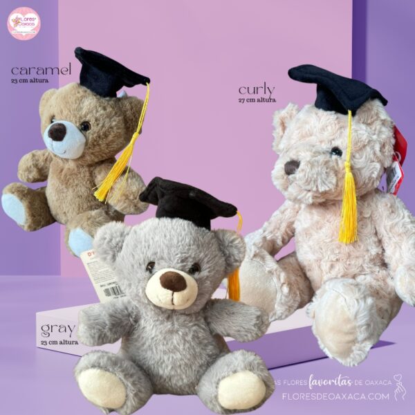 Osito graduación - Image 4