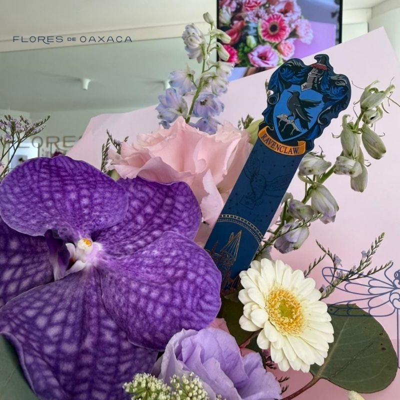Alohomora - Image 3