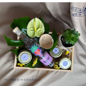 Mezcalito mood